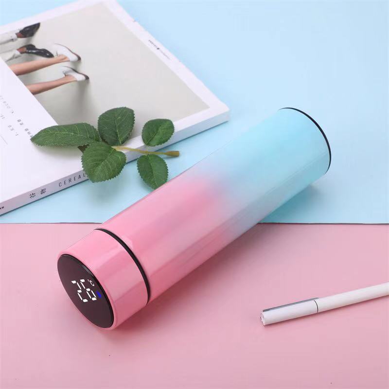 Insulated Water Bottle with Smart Touch Temperature Display